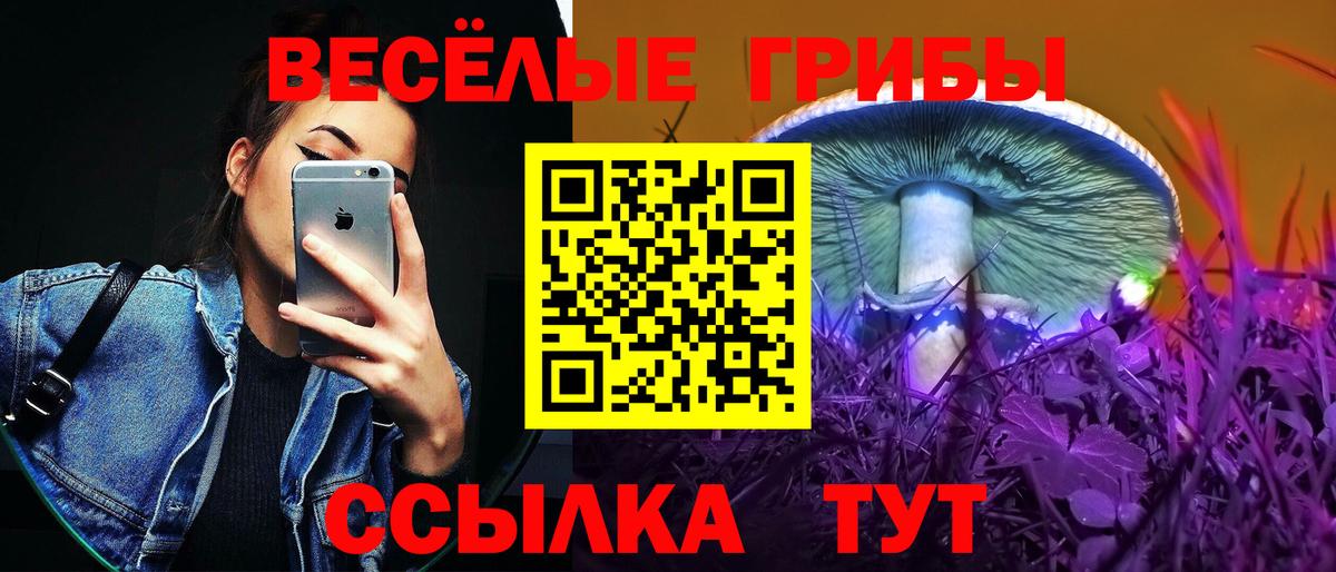 Псилоцибиновые грибы Magic Shrooms Кизляр