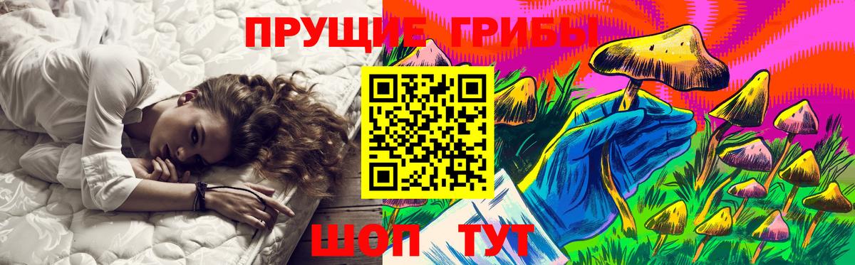 купить   Вход с VPN  Кизляр  Псилоцибиновые грибы GOLDEN TEACHER 